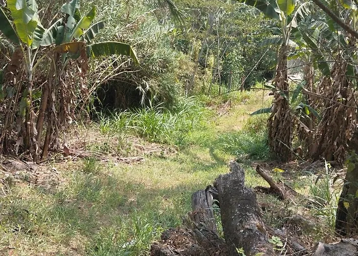 Camping Glamping Machupicchu Santa Teresa (Cusco)